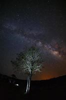 vía láctea y silueta de árbol con nube. fotografía de larga exposición con grano foto