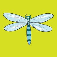Dragonfly wings vectors and Illustrations