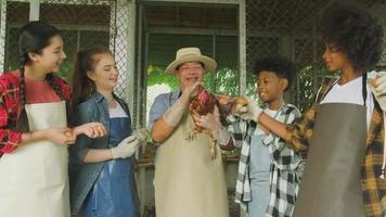 Multiracial children collect chicken eggs and play uncle farmer's hen in agriculture and livestock education at organic farm, kids group joyful and smile, happy outdoor learn in natural countryside. video