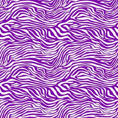 Vector animal print. Zebra ornament. Seamless pattern