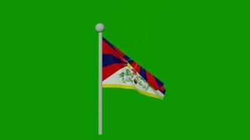 Tibet flag animation video