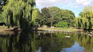 vista para o lago e aves aquáticas no parque público local da inglaterra grã-bretanha uk