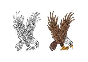 cuerpo de marines de estados unidos eagle ega design illustration vector