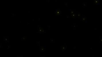 Concept L3 View of Flying Fireflies Glowing at Night with Flying Motion and Glow Animation video