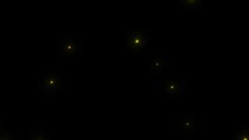 concept l2 vue de lucioles volantes brillant la nuit avec mouvement de vol et animation de lueur video