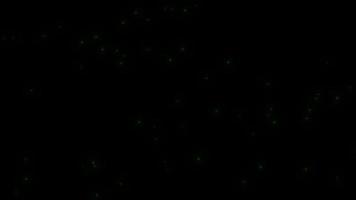 Konzept l7 Blick auf fliegende Glühwürmchen, die nachts leuchten, mit Flugbewegung und Glühanimation video