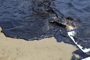 crude oil spill on the stone at the beach photo