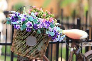 la cesta de bicicleta con rosas foto