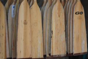 A collection of canoe paddles photo