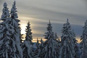 paisaje de montaña de invierno foto