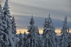 winter mountain landscape photo