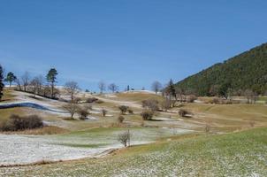 colina verde con nieve foto