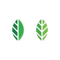 vector de hoja de árbol y concepto amigable de diseño de logotipo verde