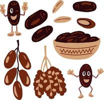 Date dried fruit cartoon set vector