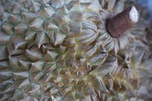 una fruta de durián foto