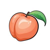 Peach cartoon, Peach with leaf isolate on white background. vector