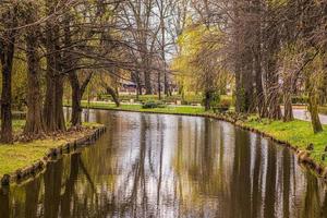 hermoso río en el parque foto