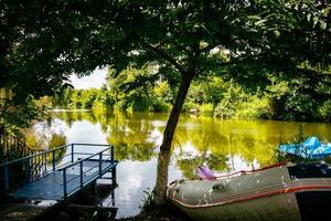 Panoramic viewpoint of green Protected wetlands lake summer sunny day in Kolkheti national park. Travel sightseeing destination around Batumi in Georgia photo