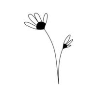 Illustration of a flower, silhouette of a twig with flowers and leaves. Vector illustration. Floral print