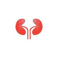 kidney logo vector