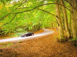 Black car is passing fast down scenic autumn road surrounded by autumn nature. Sabaduri national park.