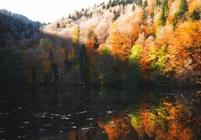 Rising view autumn outdoors panorama of forest with tree reflections on lake in warm sunny day photo