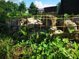 Fence at the flowerbed made of lattice and stones photo