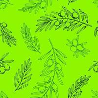 Seamless pattern with olive branches. Hand drawn illustration. vector