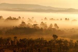 niebla en el bosque en el parque nacional thung salang luang phetchabun, tung slang luang es sabana de pastizales en tailandia. foto