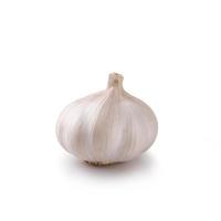 Fresh garlic isolated on white background photo