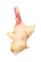 fresh ginger on white background photo