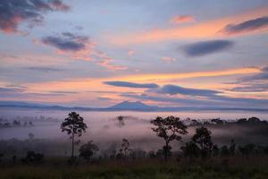 Misty morning sunrise at Thung Salang Luang National Park Phetchabun,Tung slang luang is Grassland savannah in Thailand. photo