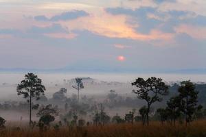 brumoso amanecer matutino en el parque nacional thung salang luang phetchabun, tung slang luang es sabana de pastizales en tailandia. foto