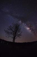 Silhouette of Tree and Milky Way. Long exposure photograph.With grain photo