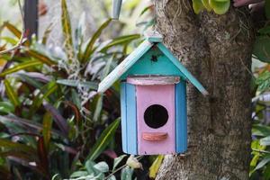 casa de aves colgando de un árbol foto