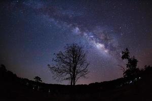 Beautiful milky way galaxy on a night sky and silhouette of tree with cloud, Long exposure photograph.with grain photo