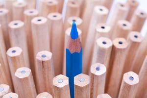 One sharpened blue pencil among many ones photo