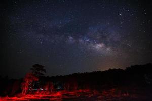 Milky Way and silhouette of tree at Phu Hin Rong Kla National Park,Phitsanulok Thailand, Long exposure photograph.with grain photo