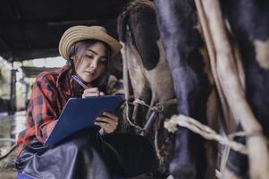 Asian farmer Work in a rural dairy farm outside the city,Young people with cow photo