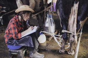 granjero asiático trabaja en una granja lechera rural fuera de la ciudad, jóvenes con vaca foto