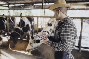 granjero asiático trabaja en una granja lechera rural fuera de la ciudad, jóvenes con vaca foto