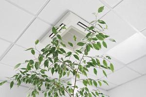 Low angle of assette Air Conditioner on ceiling in modern light office or apartment with green ficus plant leaves. Indoor air quality photo