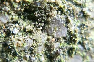 photo macro abstract object surface with natural rough texture background