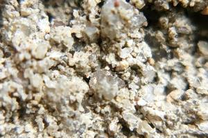 photo macro abstract object surface with natural rough texture background