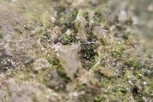 photo macro abstract object surface with natural rough texture background