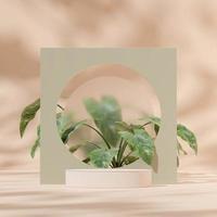 3D rendering mockup template white podium in square with green arch, blurred glass, and alocasia photo