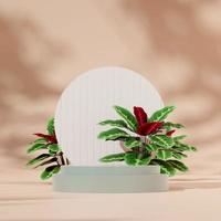 3D render template green podium in square with calathea, white backdrop, light brown background photo