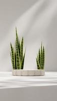 Minimal natural ceramic texture podium with snake plant 3d rendering mockup background portrait photo