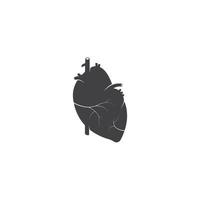 Human heart medical vector