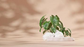 podio de piedra de plantilla de renderizado 3d en paisaje con roca blanca, planta de alocasia, fondo marrón claro foto